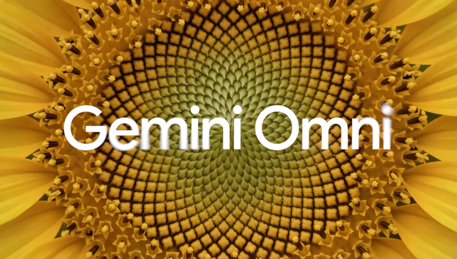 An hour with Gemini Omni