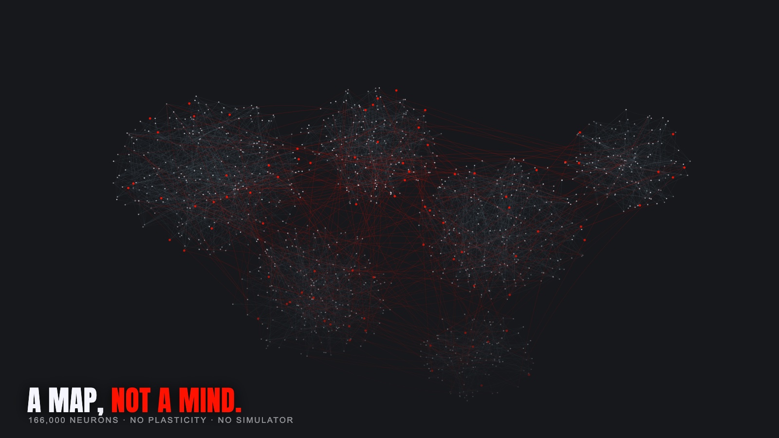 A dense fruit fly connectome wiring diagram.